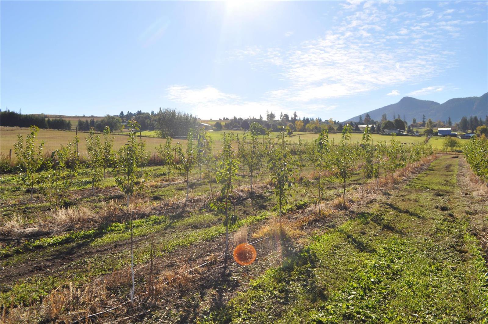 Listing 10241122 - Large Photo # 13