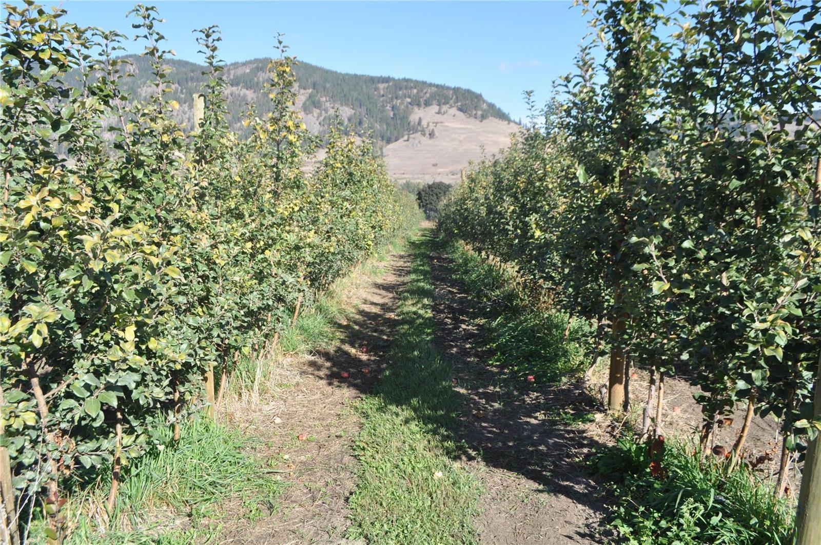 Listing 10241122 - Large Photo # 6