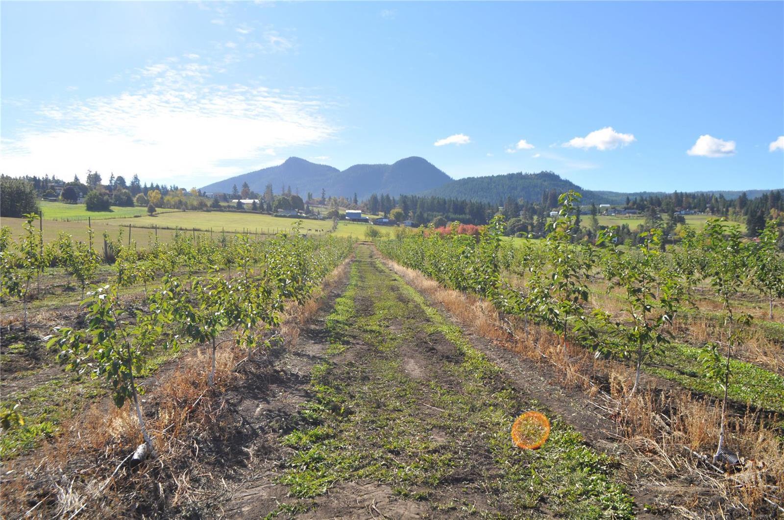 Listing 10241122 - Large Photo # 15