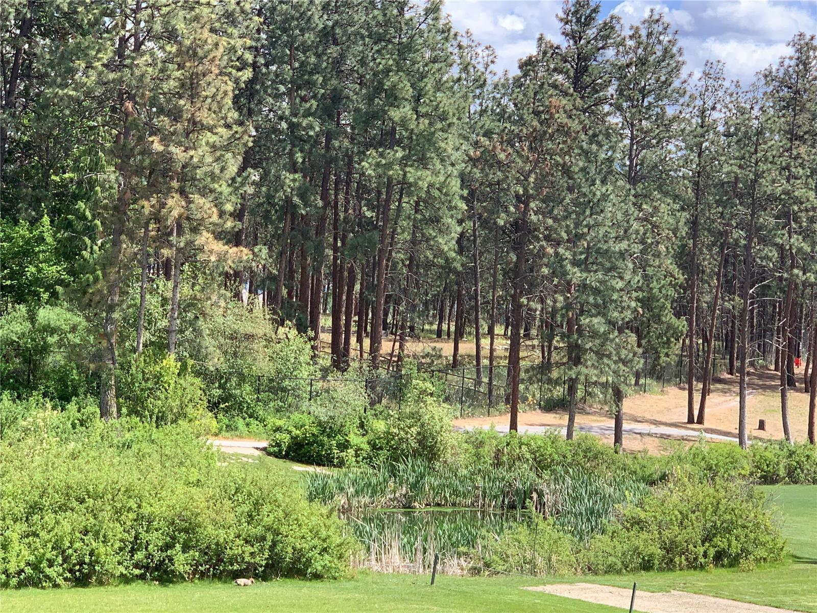 Listing 10244543 - Large Photo # 3
