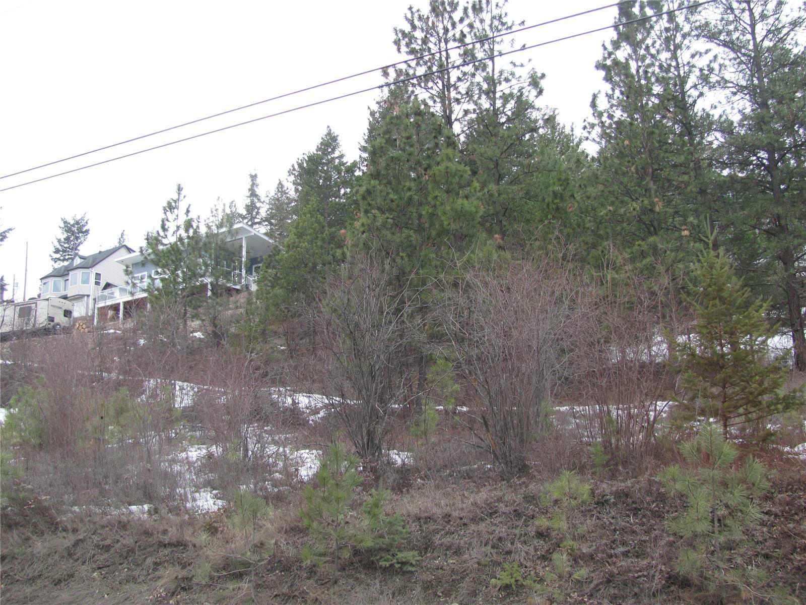 Listing 10245620 - Large Photo # 21