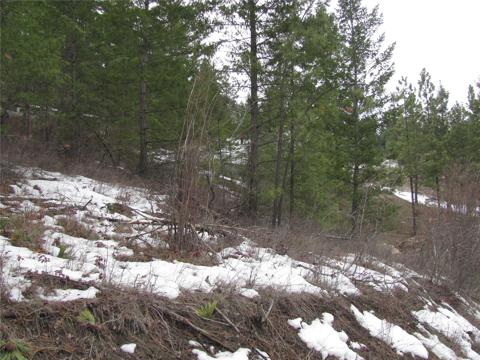 Listing 10245620 - Large Photo # 38