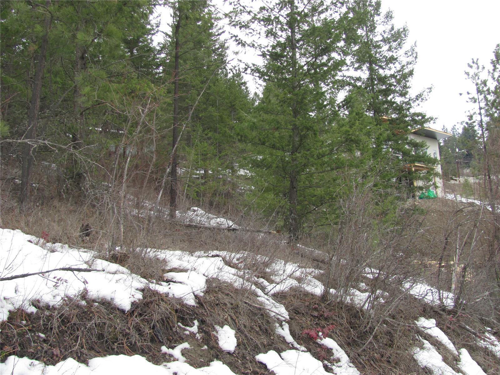 Listing 10245620 - Large Photo # 33