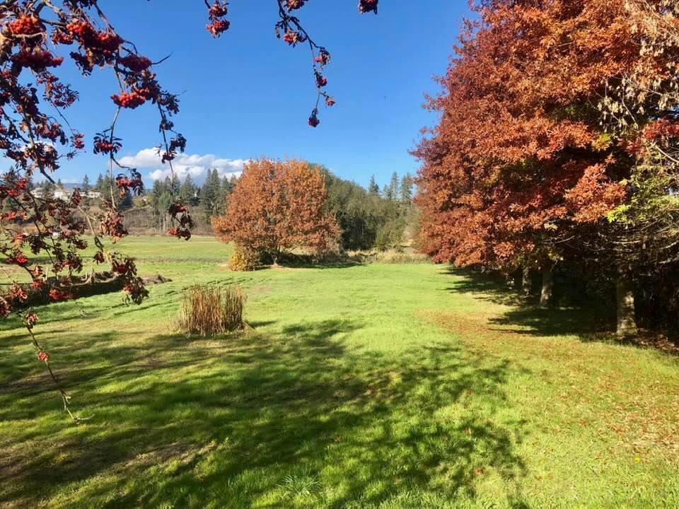 Listing 10246137 - Large Photo # 5