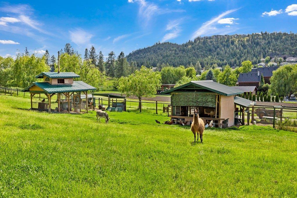 Listing 10246846 - Large Photo # 43