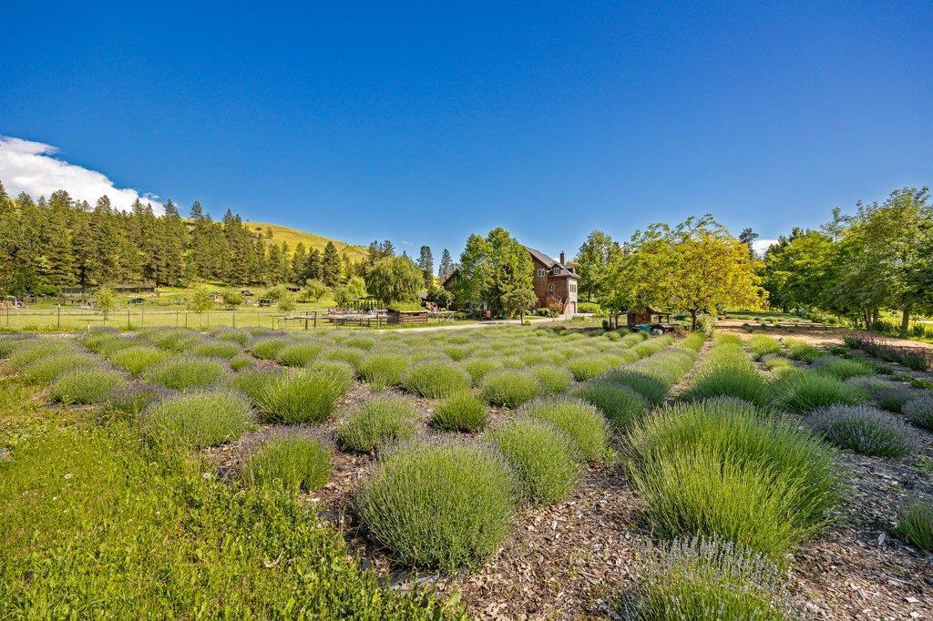 Listing 10246846 - Large Photo # 39