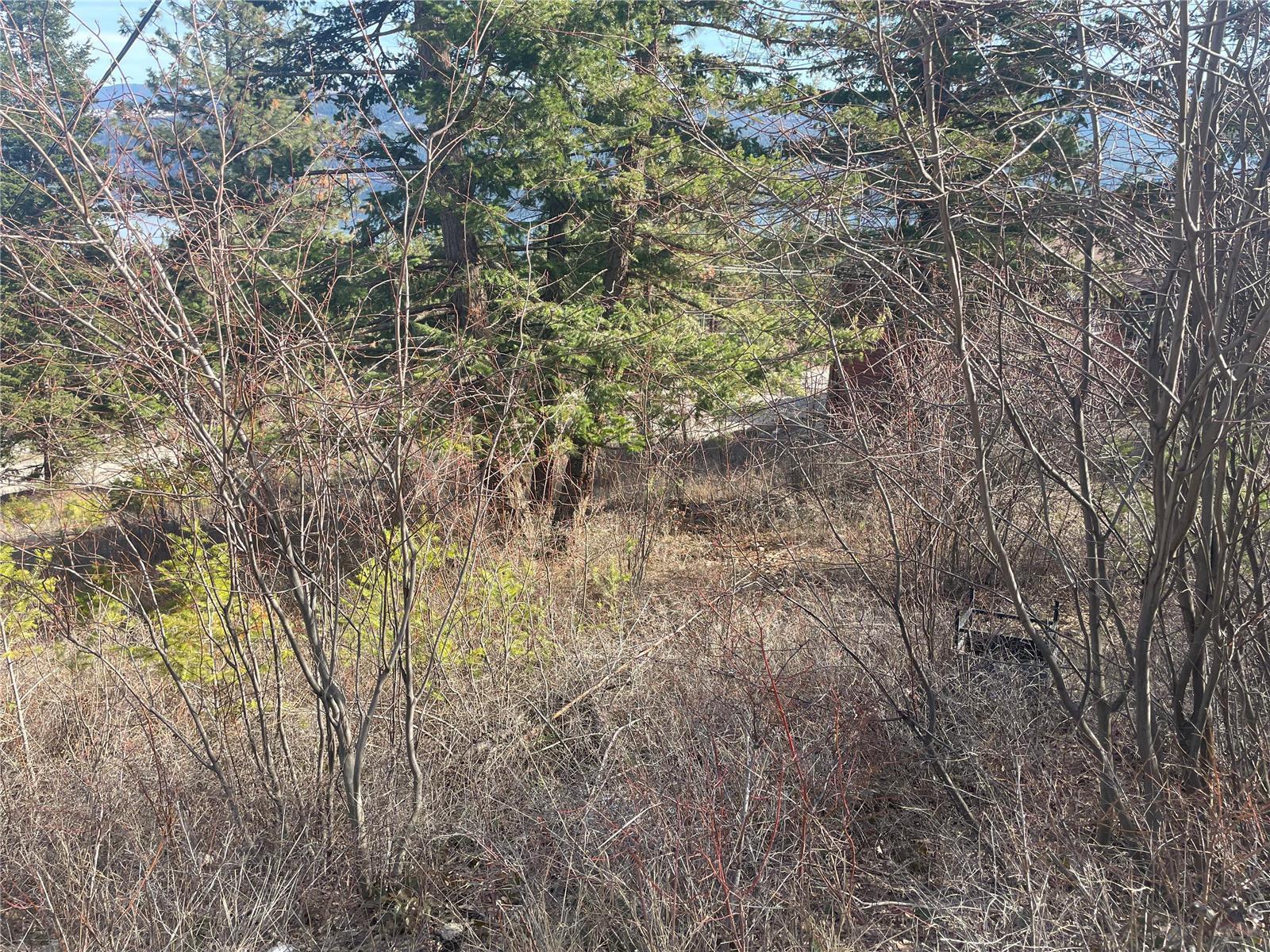 Listing 10246889 - Large Photo # 4
