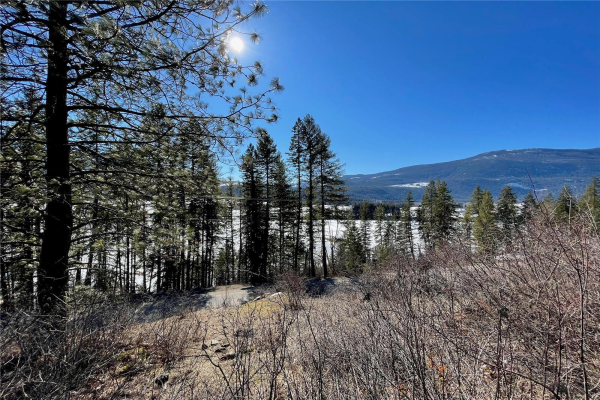 1305 Enderby Mabel Lake Road,, Enderby