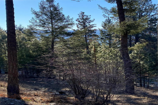 10754 Pinecrest Road,, Vernon