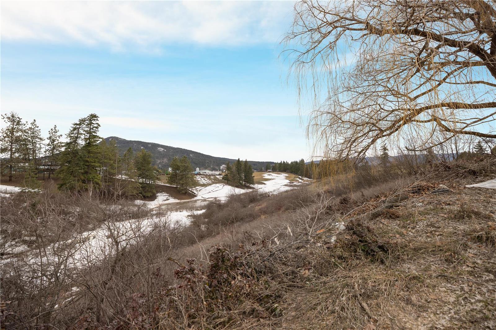 Listing 10249062 - Large Photo # 46