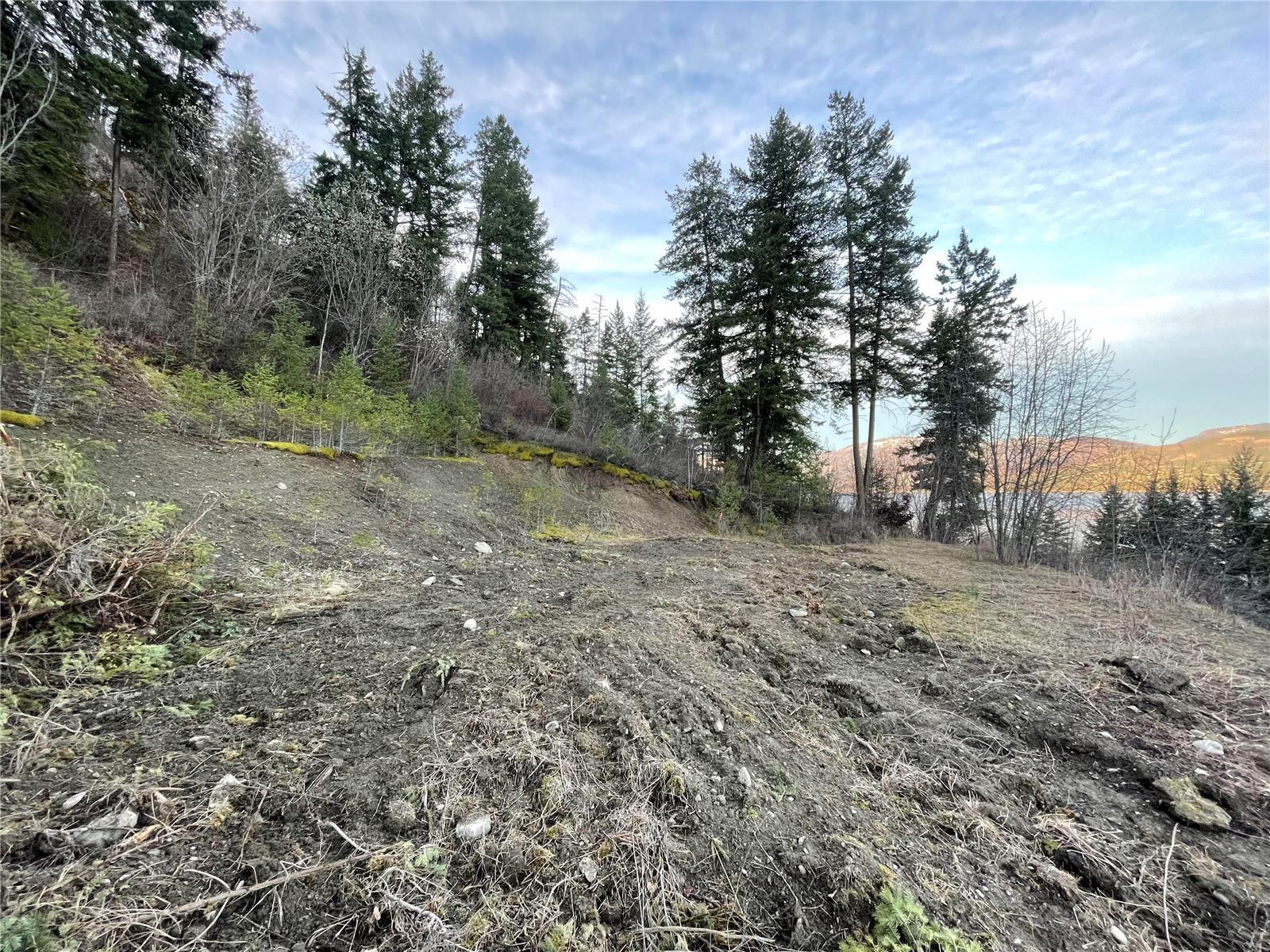 Listing 10249272 - Large Photo # 4