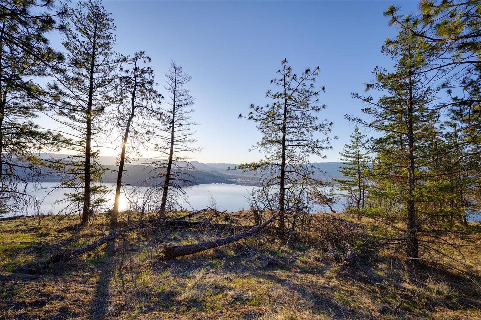 Listing 10249874 - Large Photo # 16