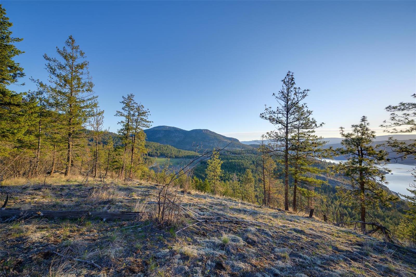 Listing 10250082 - Large Photo # 15