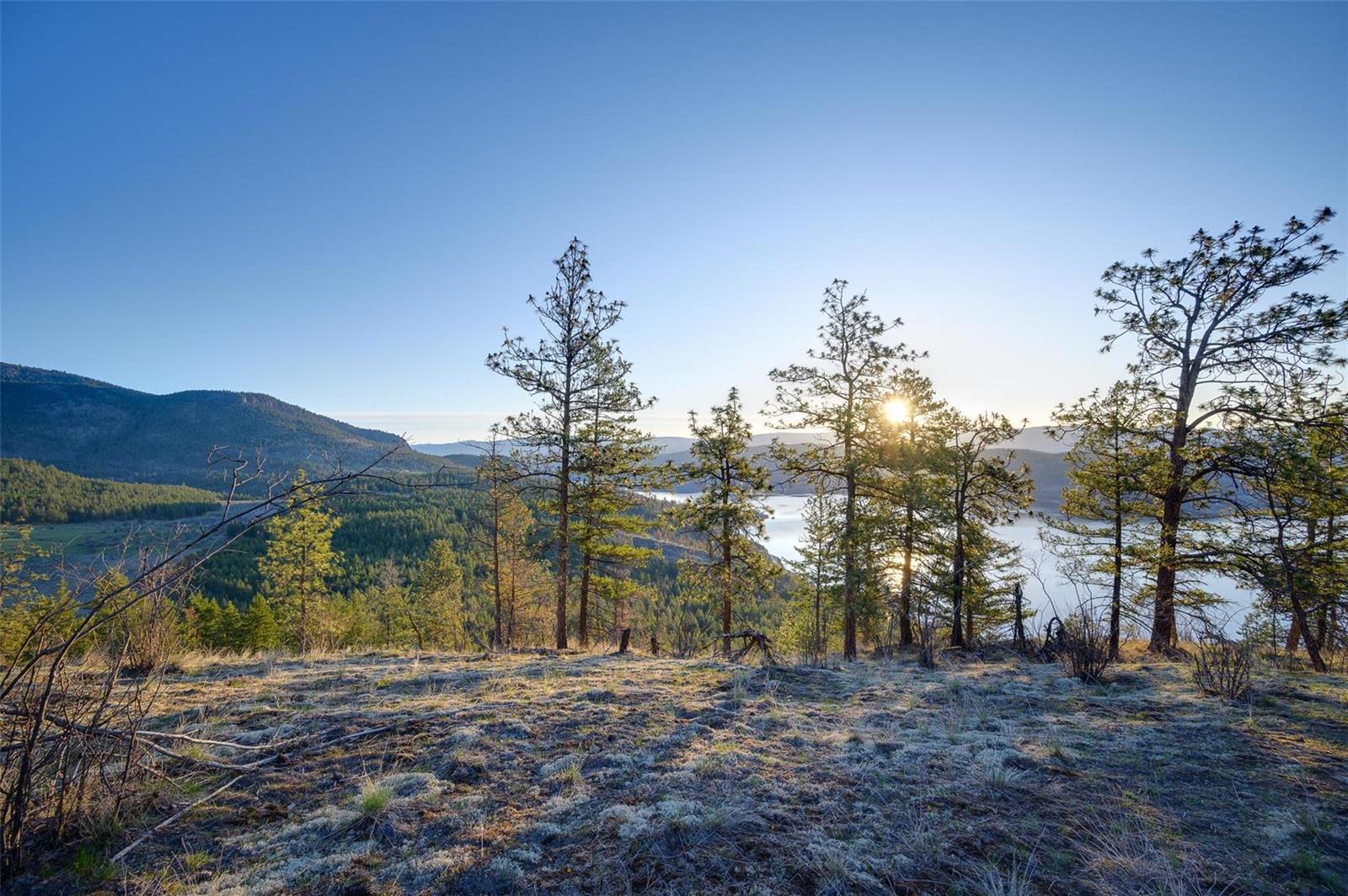 Listing 10250082 - Large Photo # 3