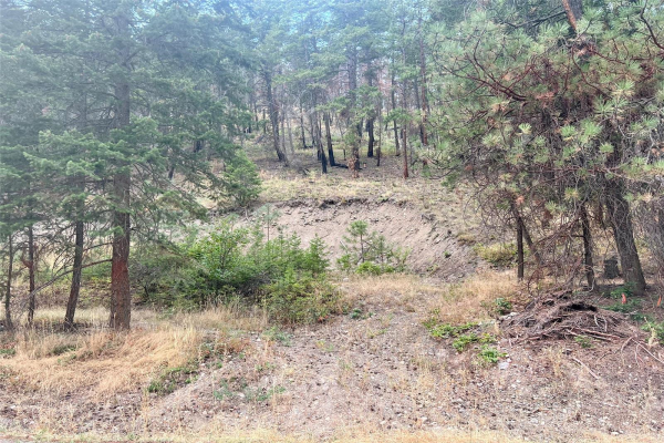 9308 Winchester Road,, Vernon