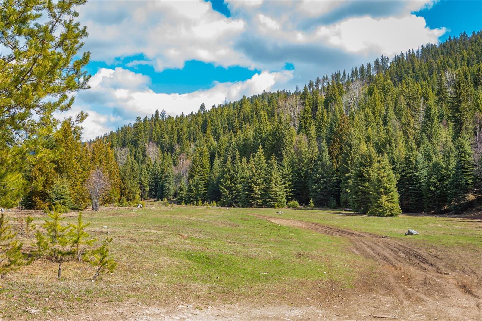 Listing 10251977 - Large Photo # 16