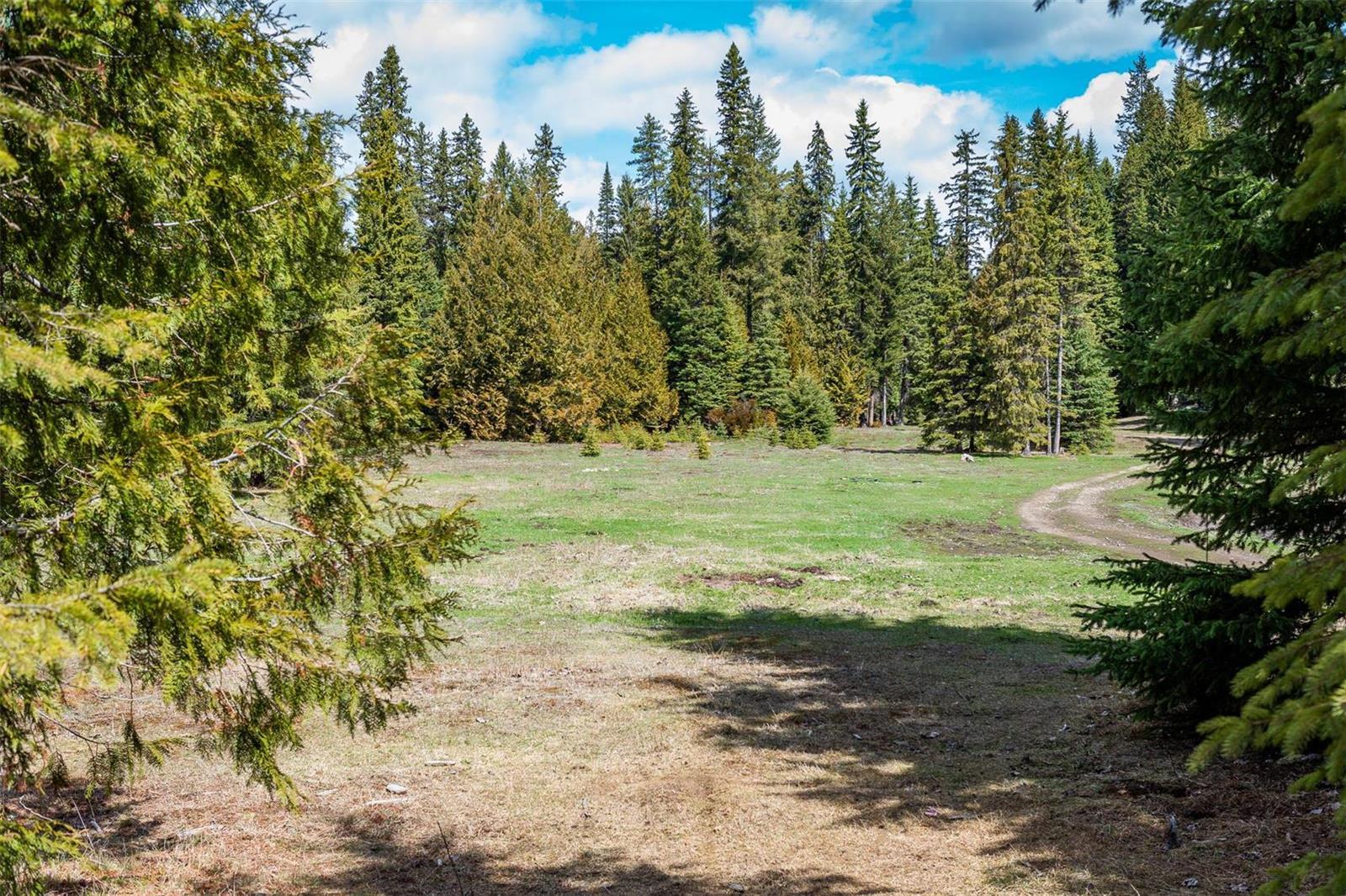 Listing 10251977 - Large Photo # 13