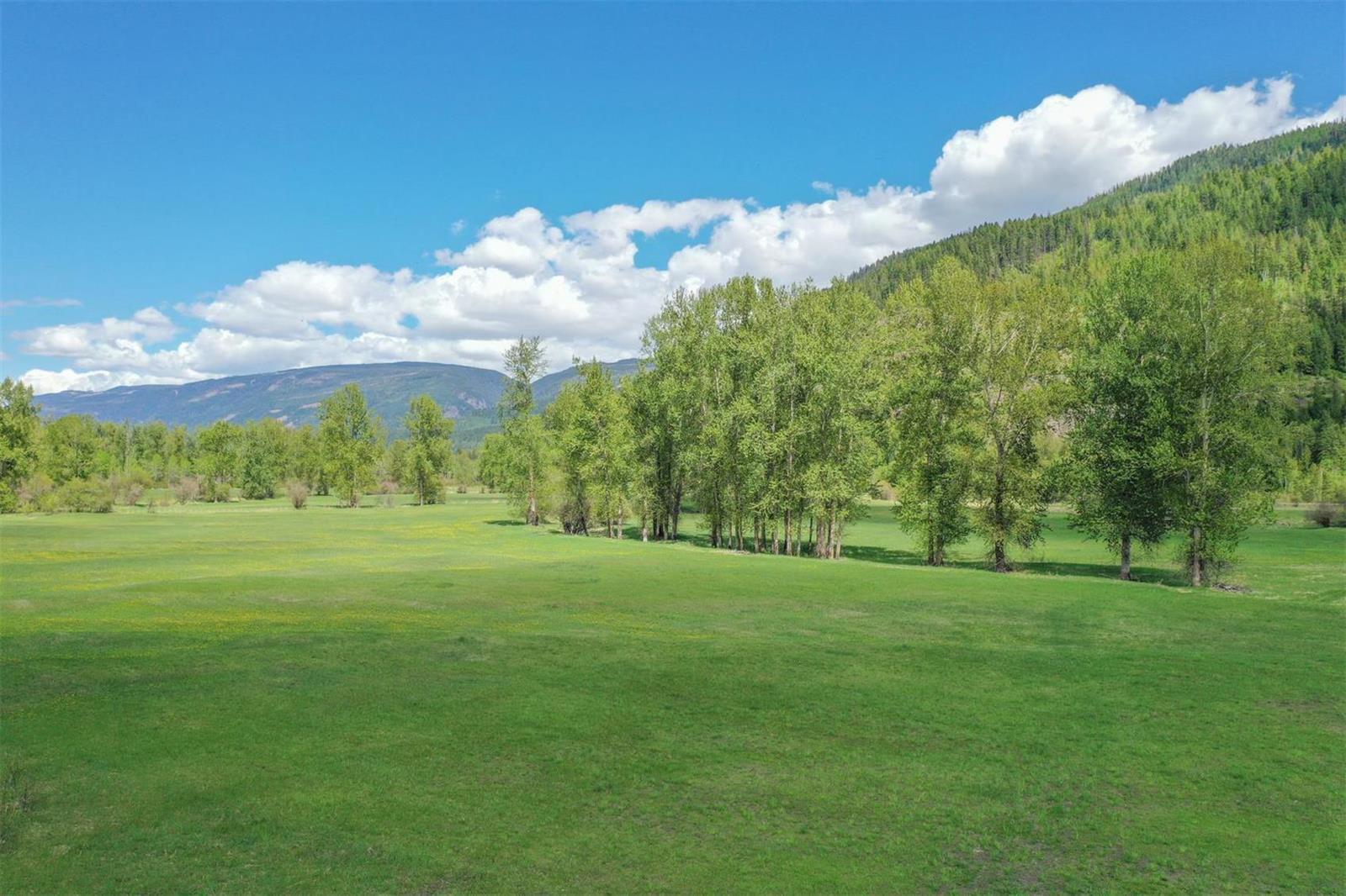 Listing 10252069 - Large Photo # 15