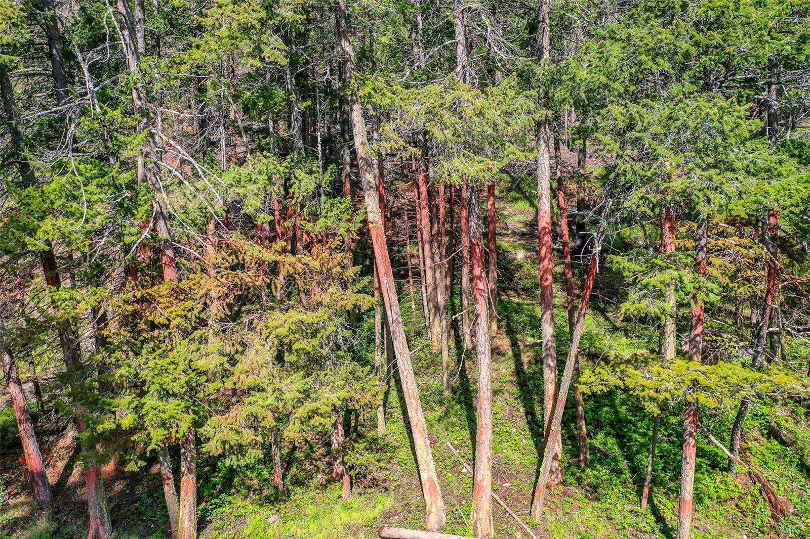 Listing 10252323 - Large Photo # 18