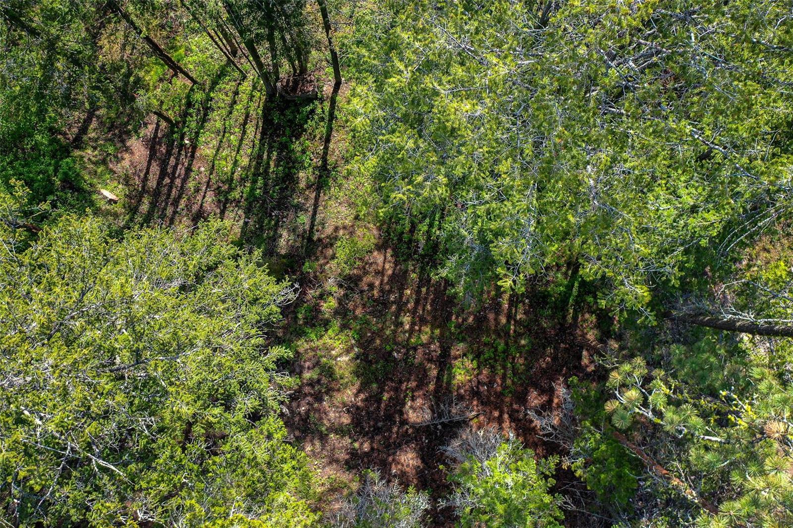 Listing 10252323 - Large Photo # 12