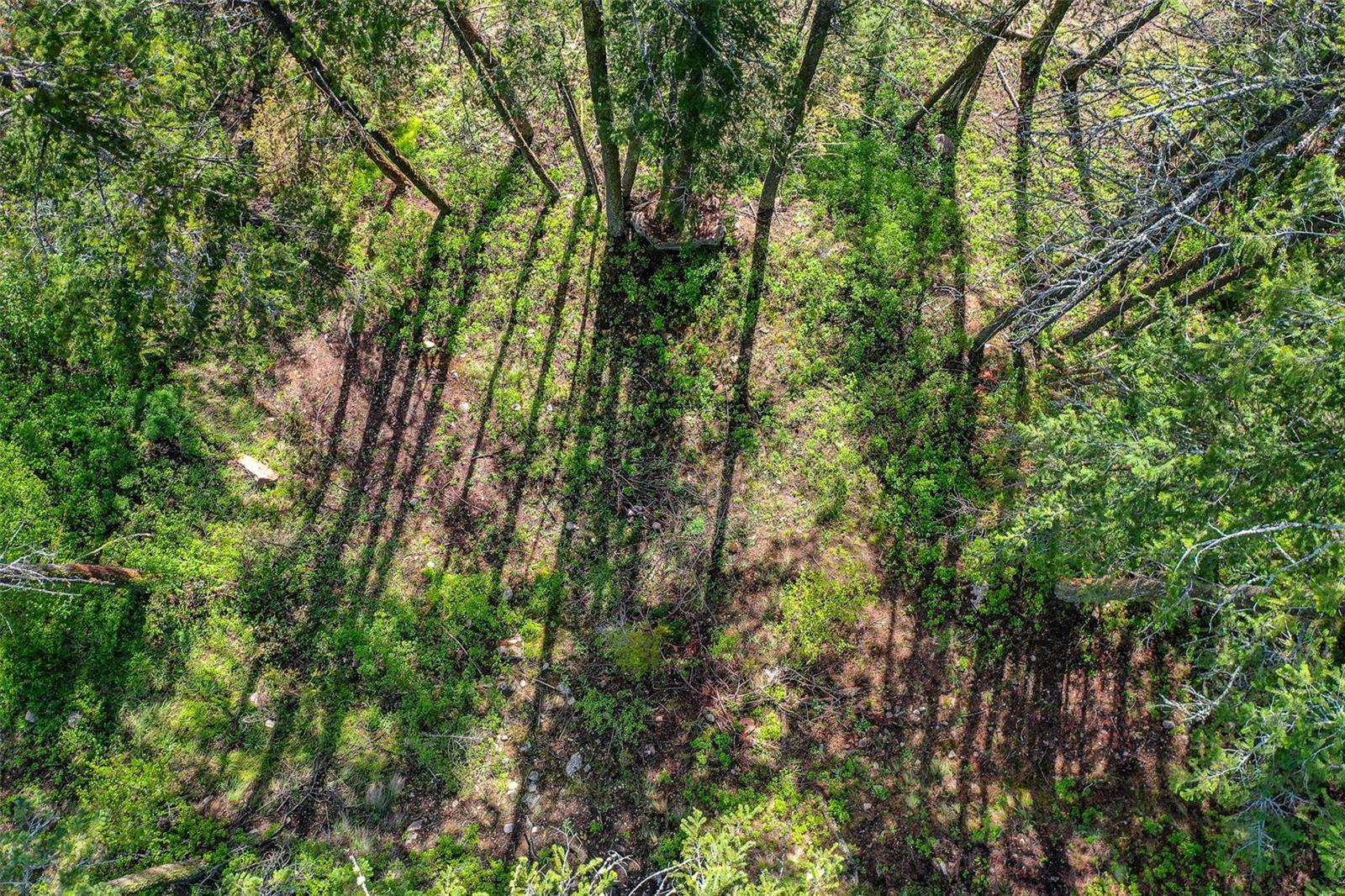Listing 10252323 - Large Photo # 13