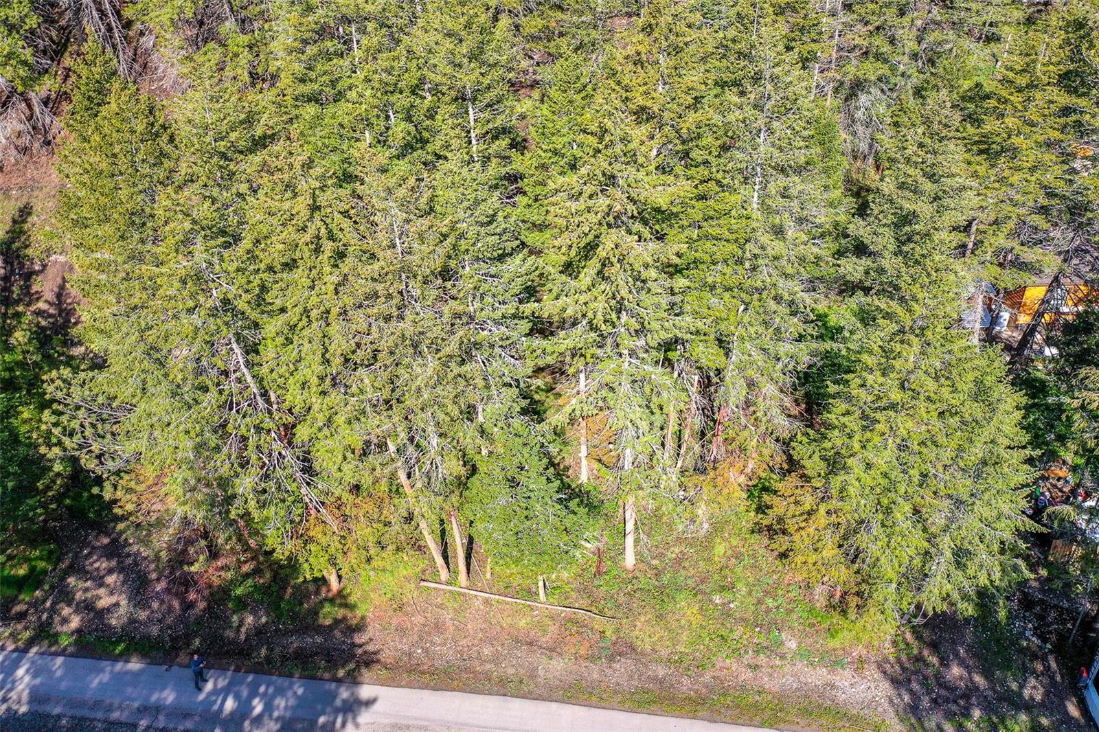 Listing 10252323 - Large Photo # 17