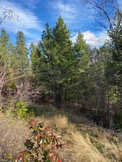 Listing 10254751 - Large Photo # 7