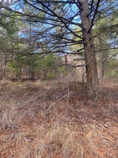 Listing 10254751 - Large Photo # 3