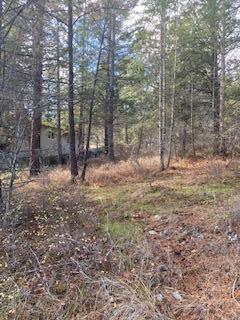 Listing 10254751 - Large Photo # 2