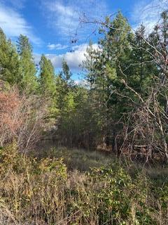 Listing 10254751 - Large Photo # 8