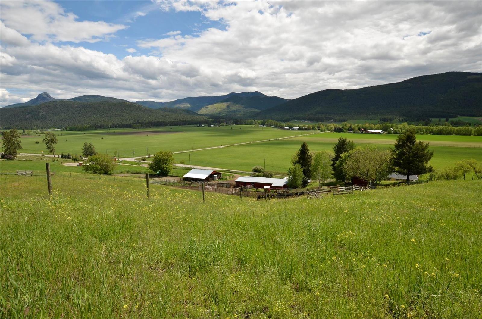 Listing 10255027 - Large Photo # 9