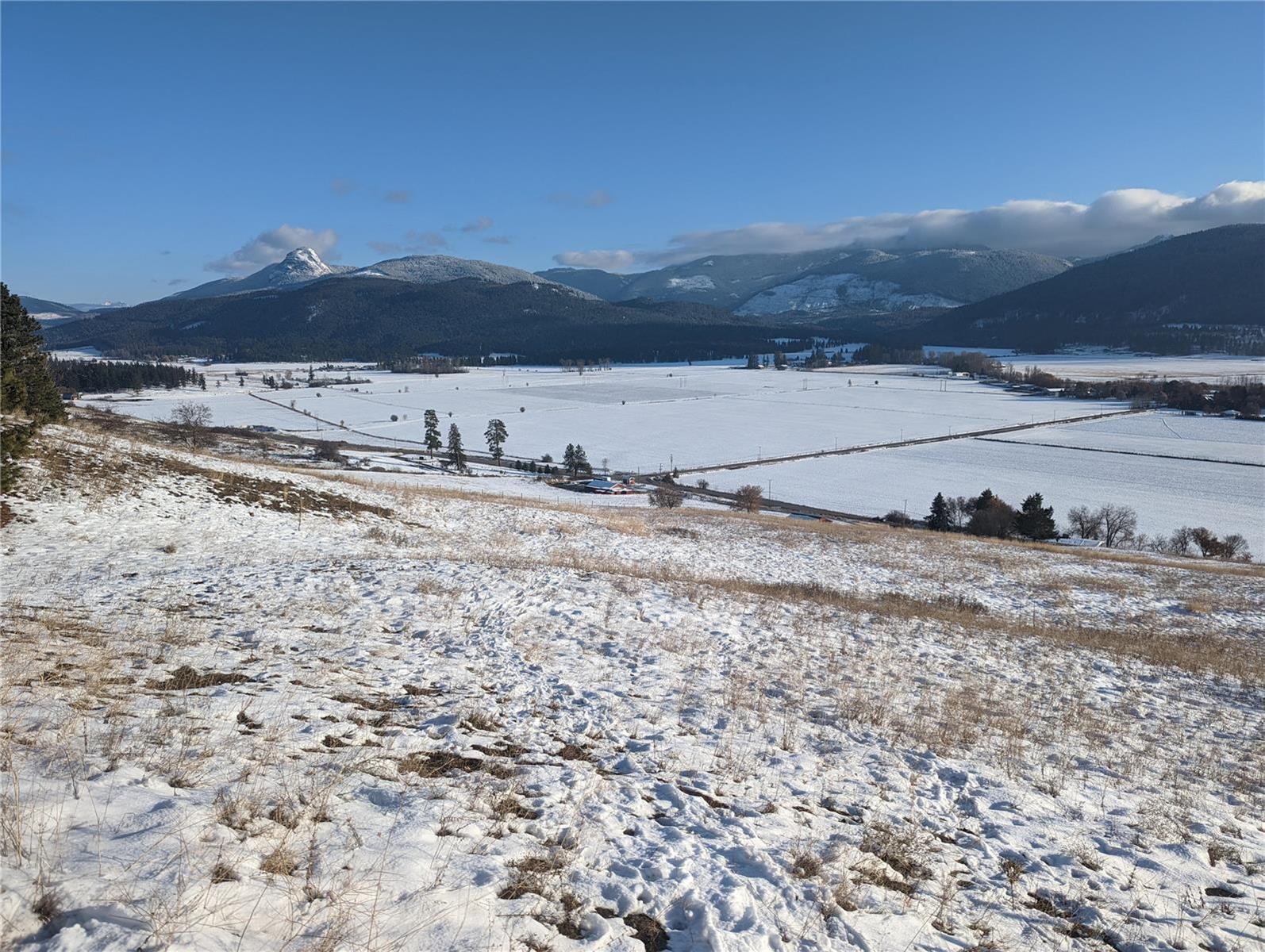 Listing 10255027 - Large Photo # 4