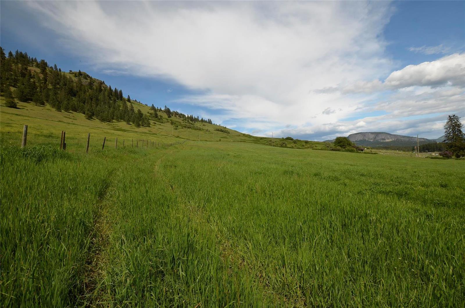 Listing 10255027 - Large Photo # 41