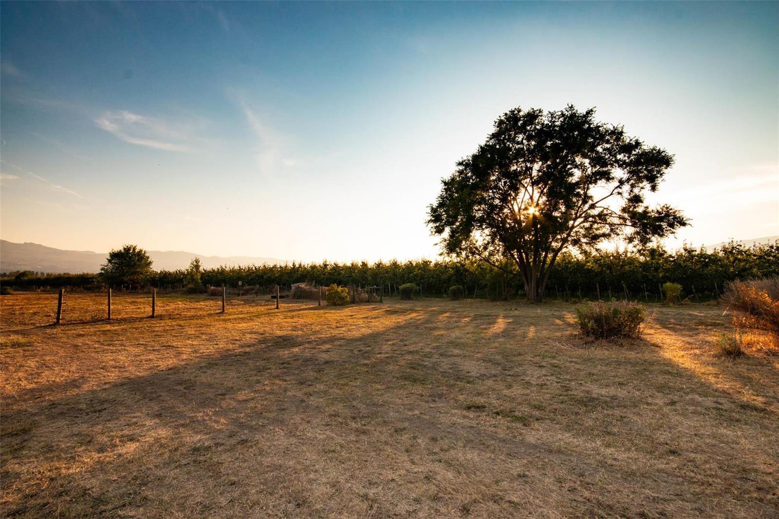 Listing 10255327 - Large Photo # 45