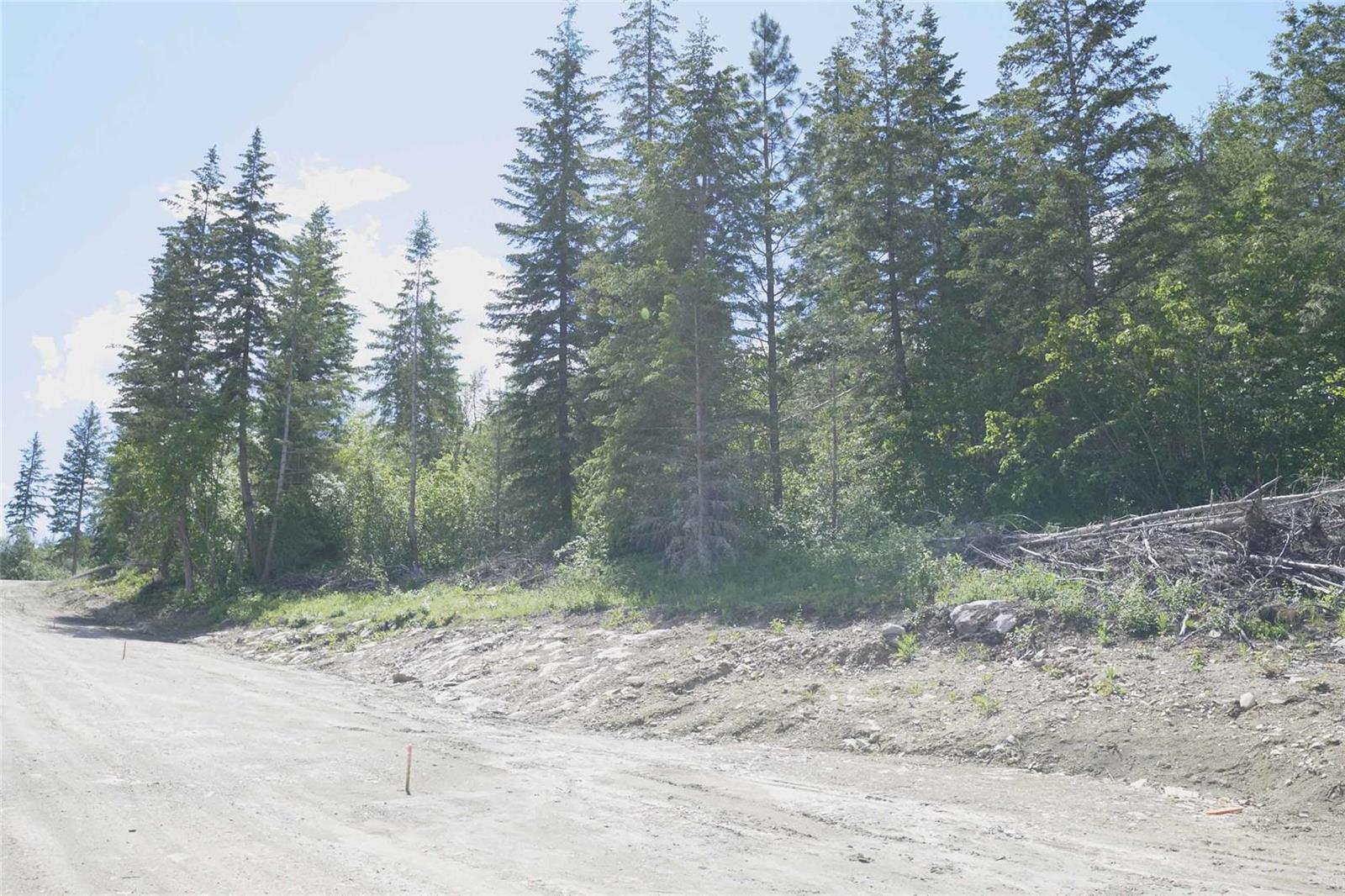 Listing 10255513 - Large Photo # 41