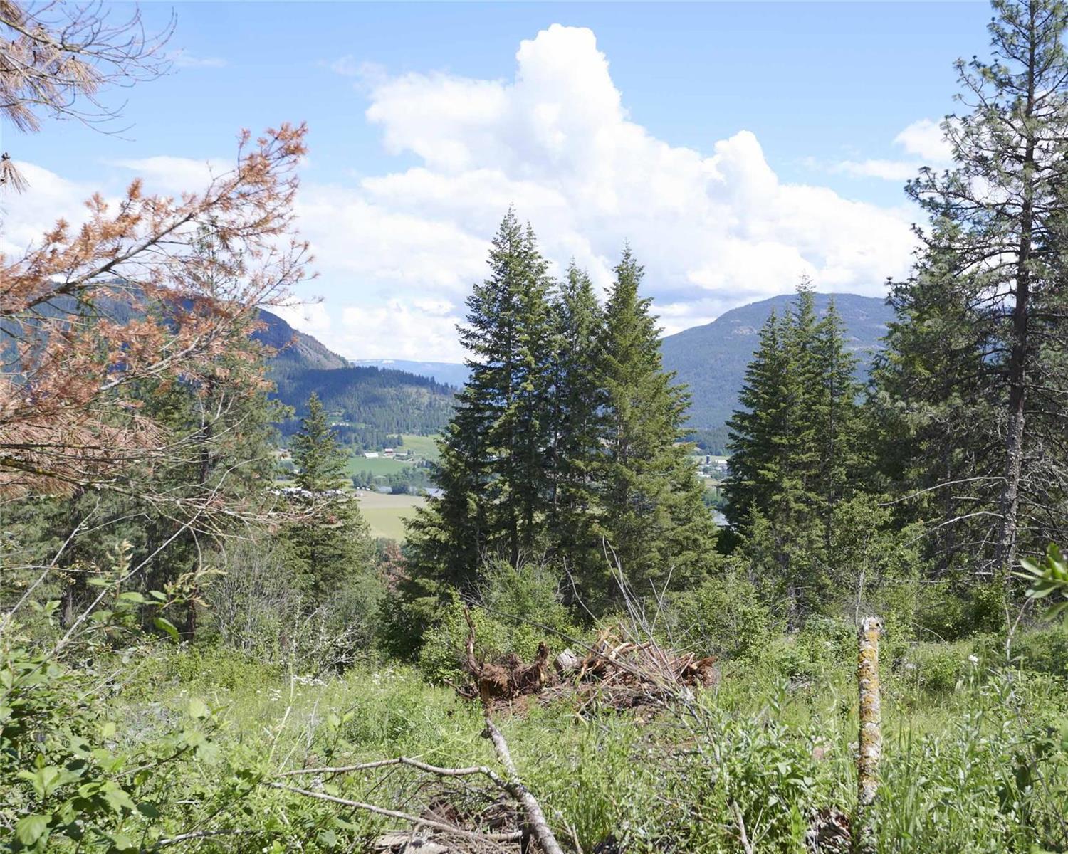 Listing 10255517 - Large Photo # 16