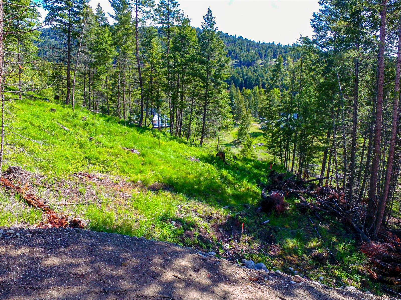 Listing 10255693 - Large Photo # 6