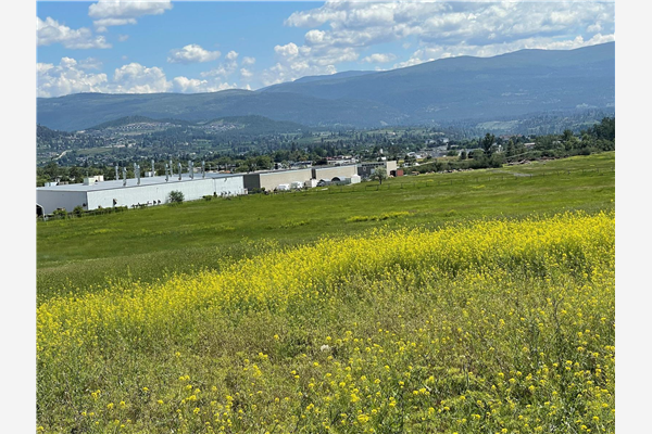 2851 Sexsmith Road,, Kelowna