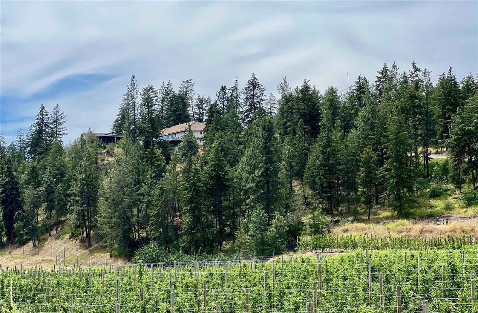 Listing 10259053 - Large Photo # 2