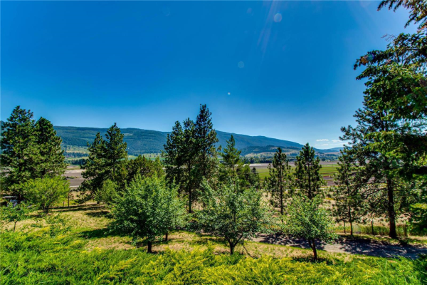 8255 Buchanan Road,, Coldstream