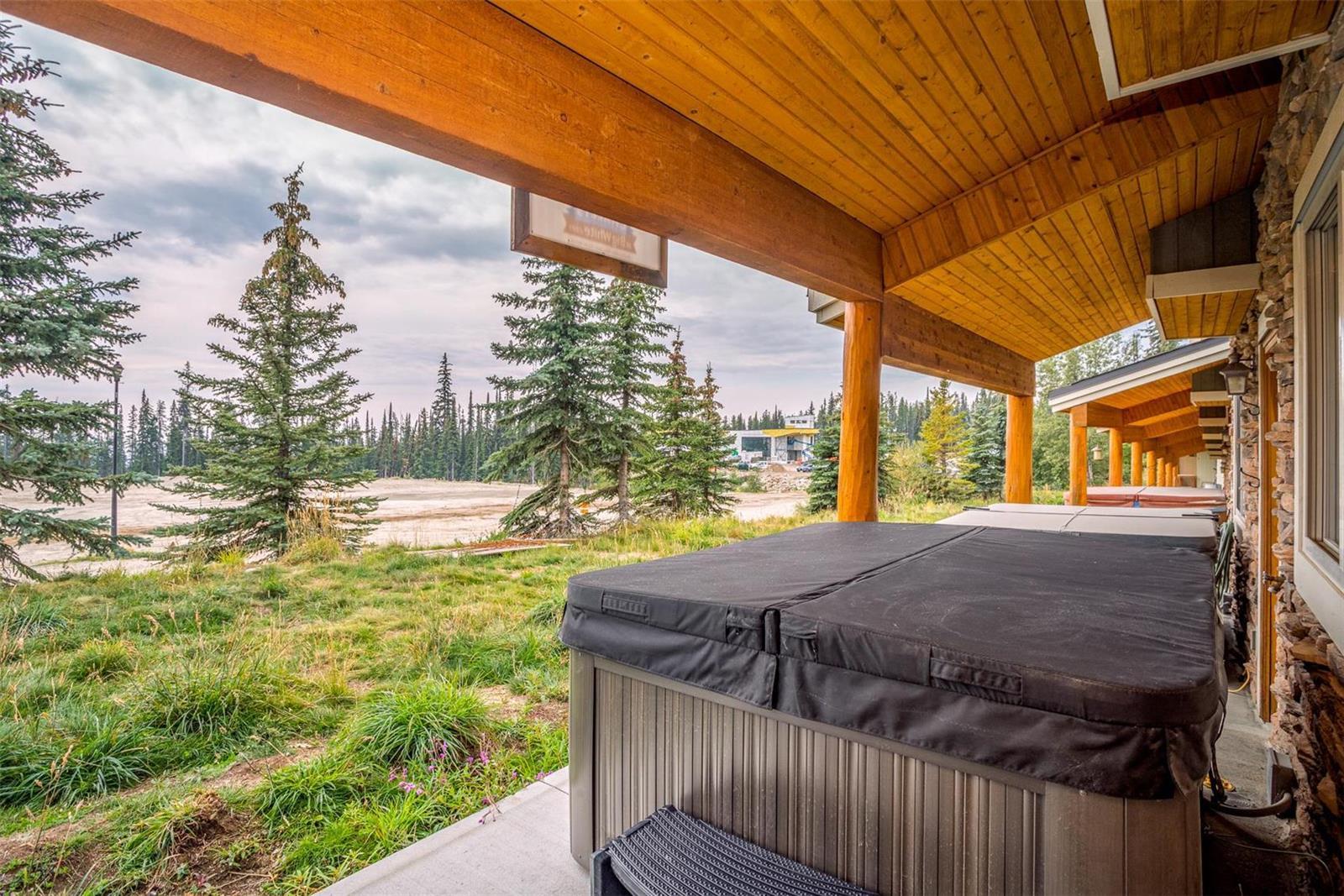 Listing 10262888 - Large Photo # 19