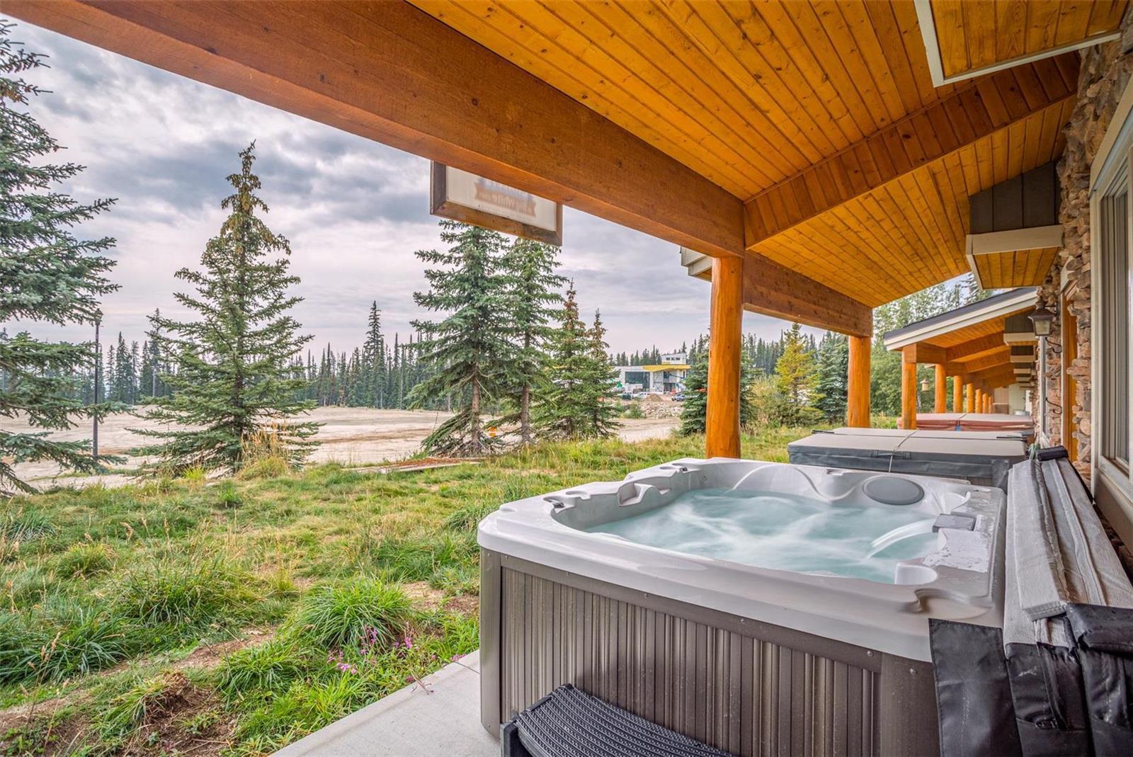 Listing 10262888 - Large Photo # 20