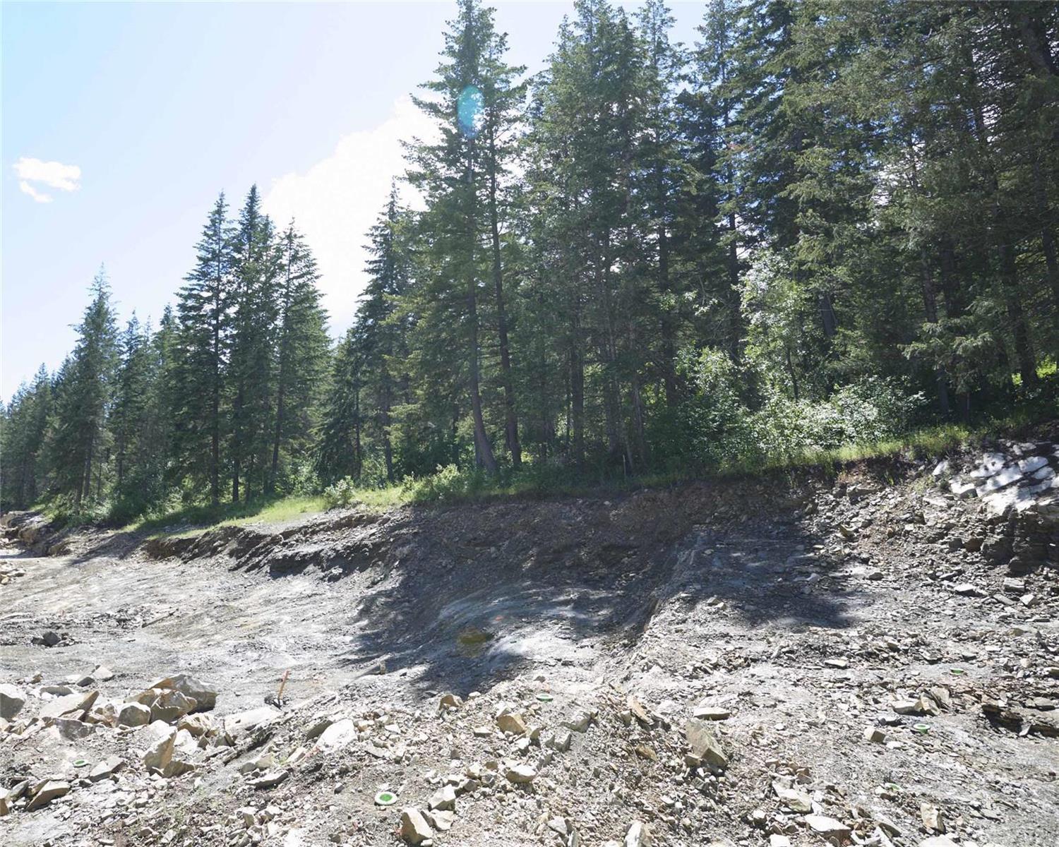 Listing 10263449 - Large Photo # 44