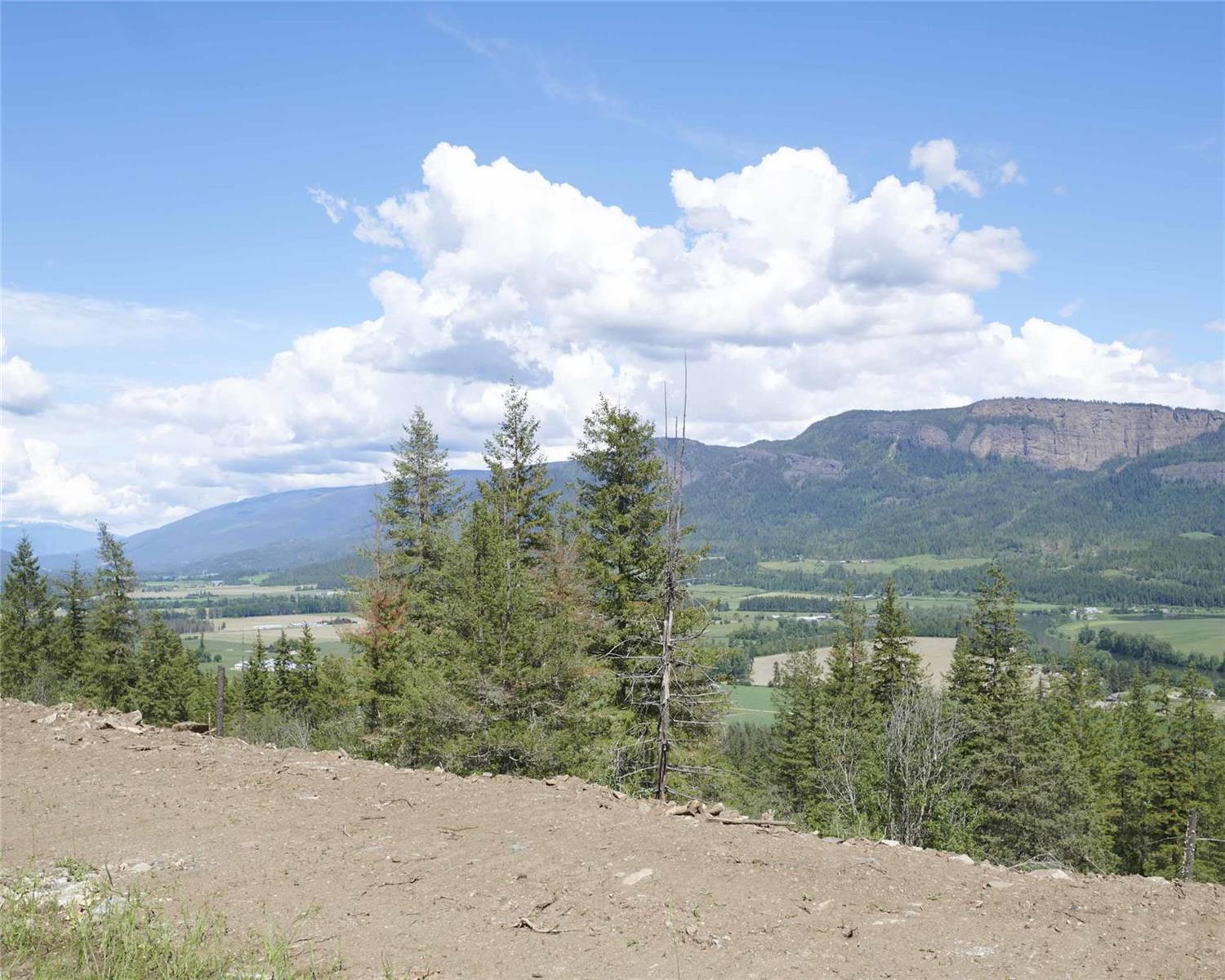 Listing 10263449 - Large Photo # 50