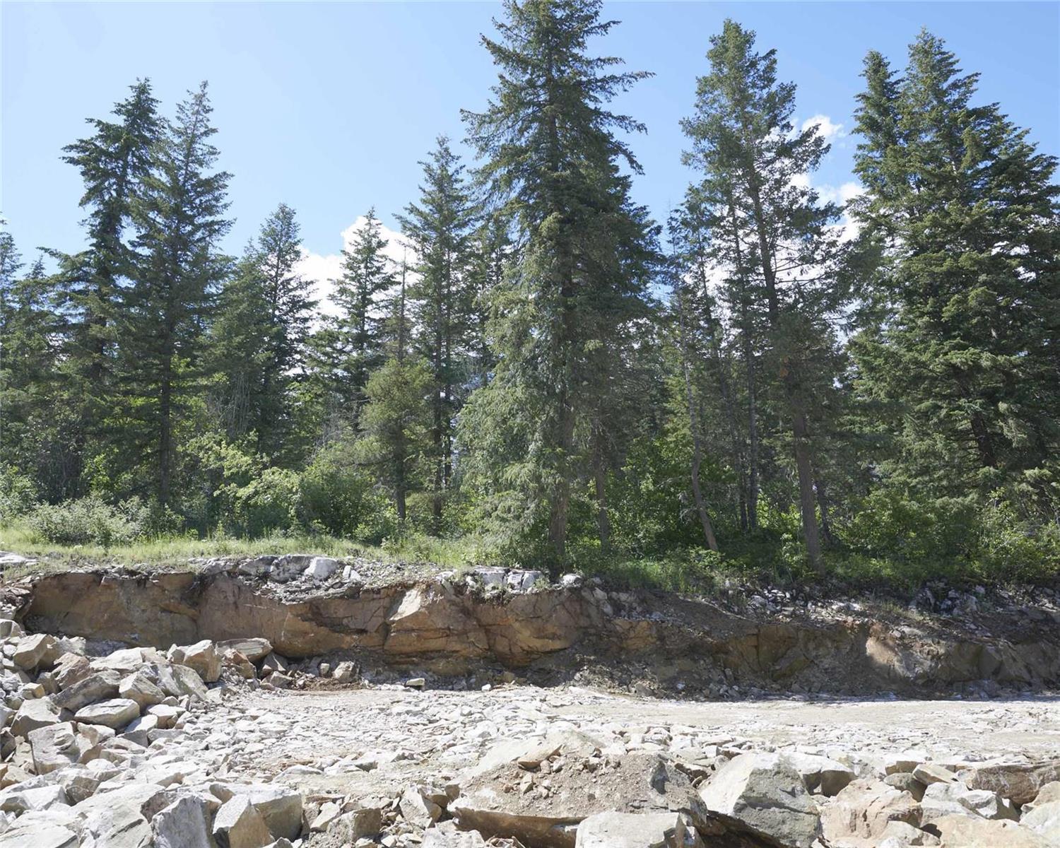 Listing 10263455 - Large Photo # 50