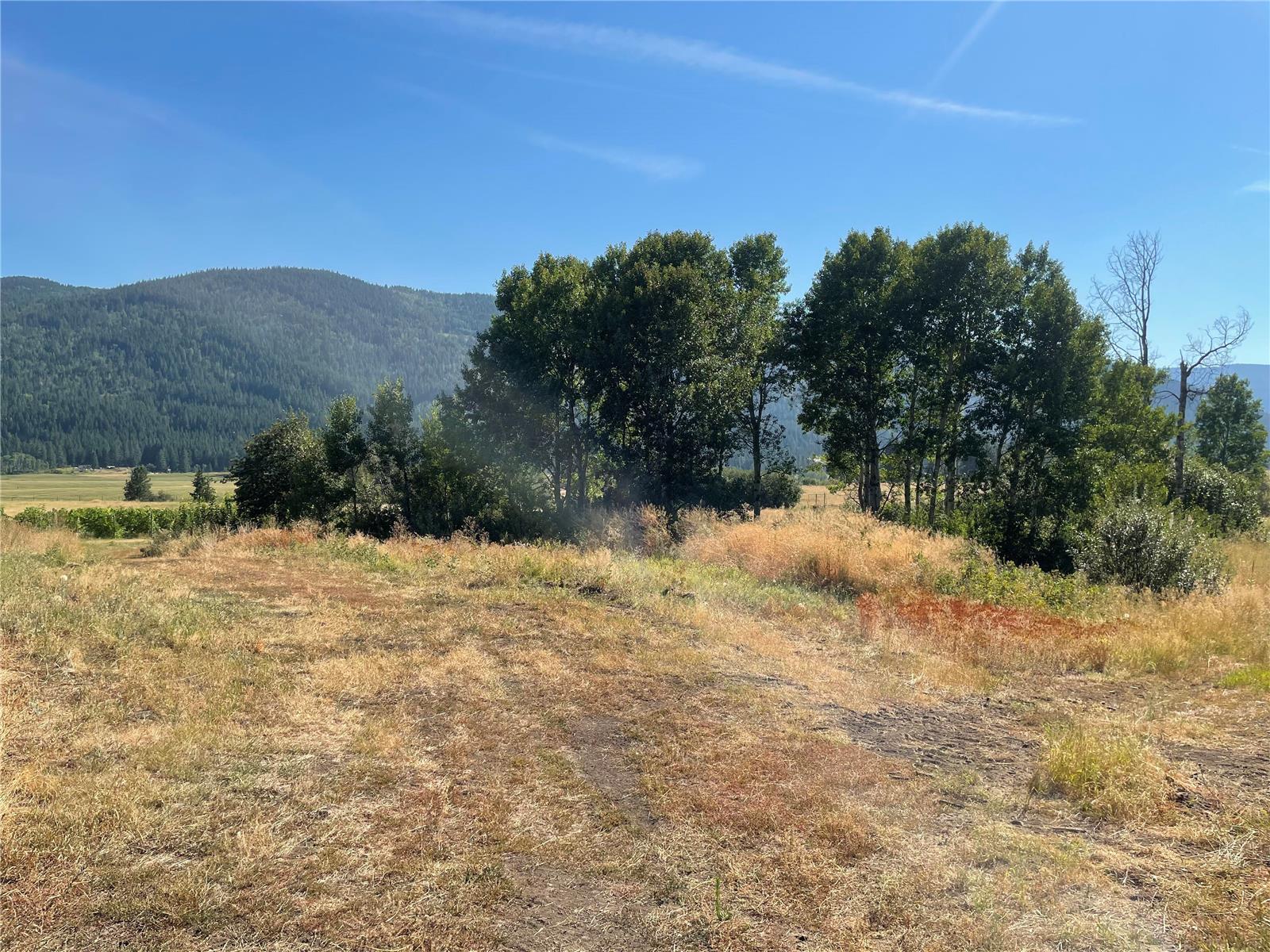 Listing 10263631 - Large Photo # 8