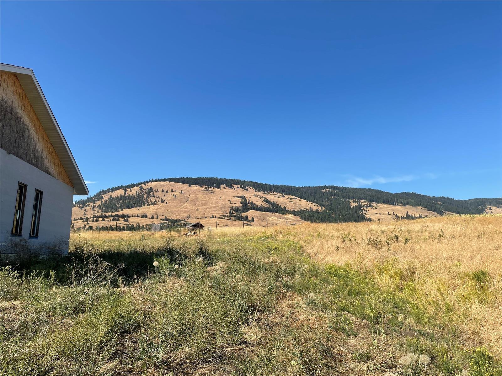 Listing 10263631 - Large Photo # 4