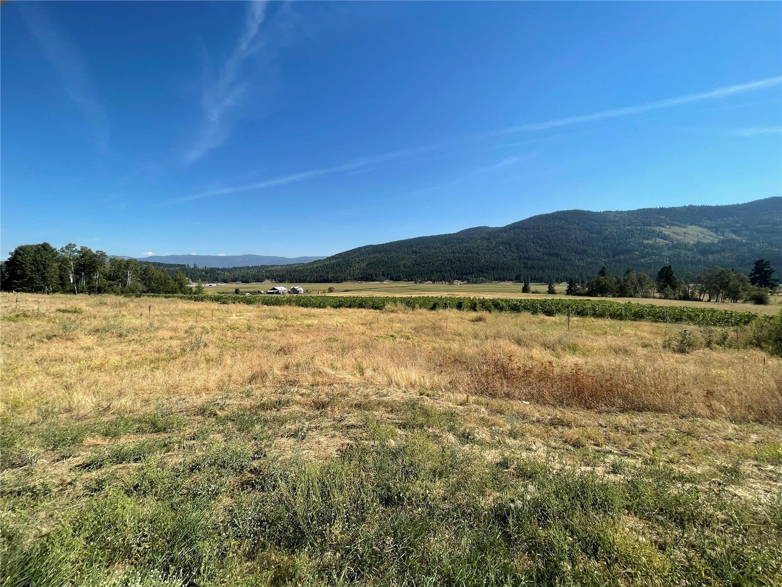 Listing 10263631 - Large Photo # 2