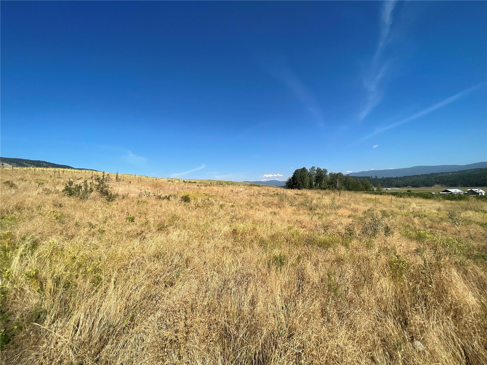 Listing 10263631 - Large Photo # 3
