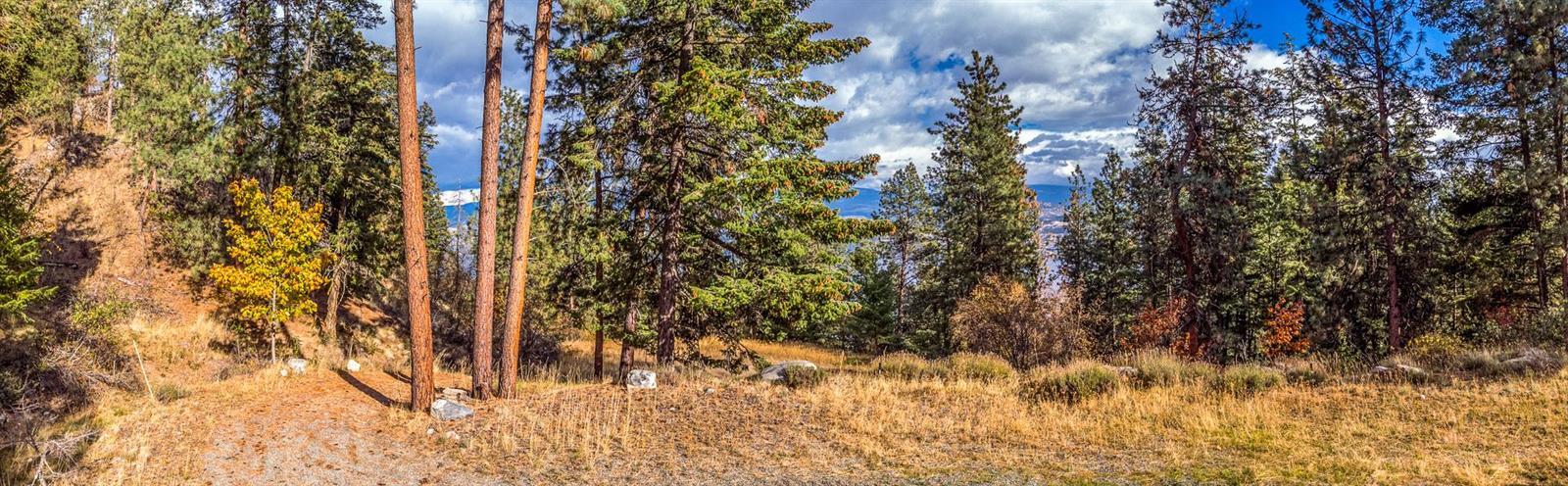 Listing 10264198 - Large Photo # 43